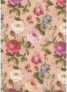 Roses sauvages sur fond poudré (50x68)