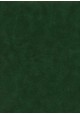 Papier imitation cuir "lisse" vert foncé 290g/m² (50X65)