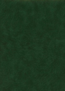 Papier imitation cuir "lisse" vert foncé 290g/m² (50X65)