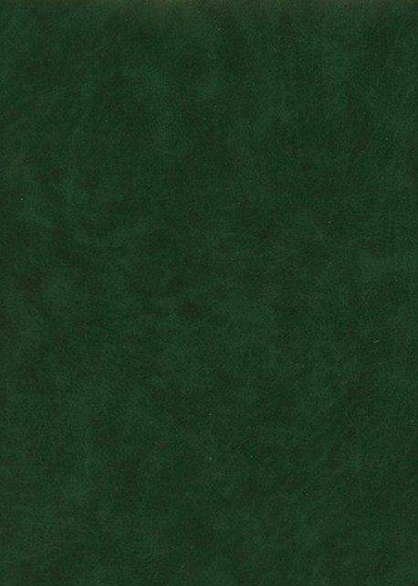 Papier imitation cuir "lisse" vert foncé 290g/m² (50X65)