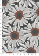 Les marguerites grises sur fond noir