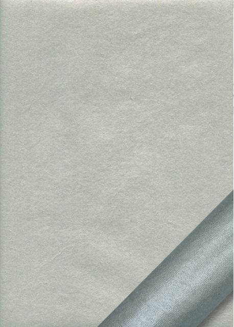 Papier indien argent (50x70)
