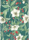 Héllébores blanches (70x100)