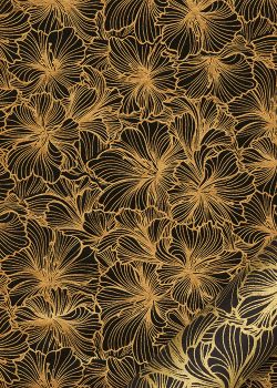 "Hibiscus" or fond noir (50x70)