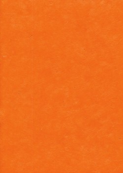 Papier lokta mandarine 