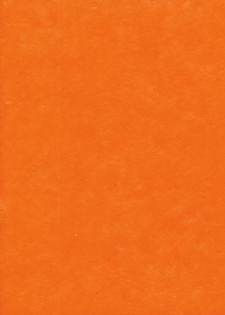 Papier lokta mandarine 