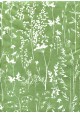Fleurs des champs blanc fond vert amande