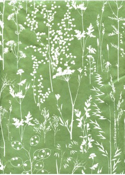 Fleurs des champs blanc fond vert amande