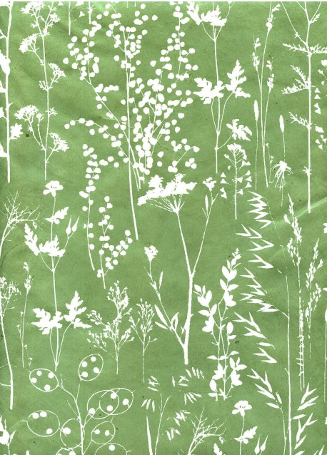 Fleurs des champs blanc fond vert amande