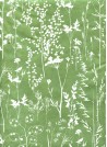 Fleurs des champs blanc fond vert amande (50x75)