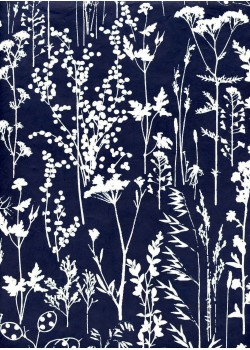 Fleurs des champs blanc fond bleu nuit