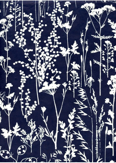 Fleurs des champs blanc fond bleu nuit
