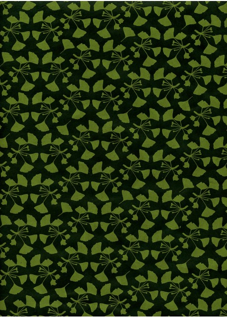 Ginkgo fond vert foncé
