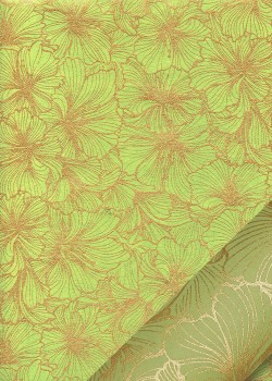 "Hibiscus" or fond vert amande