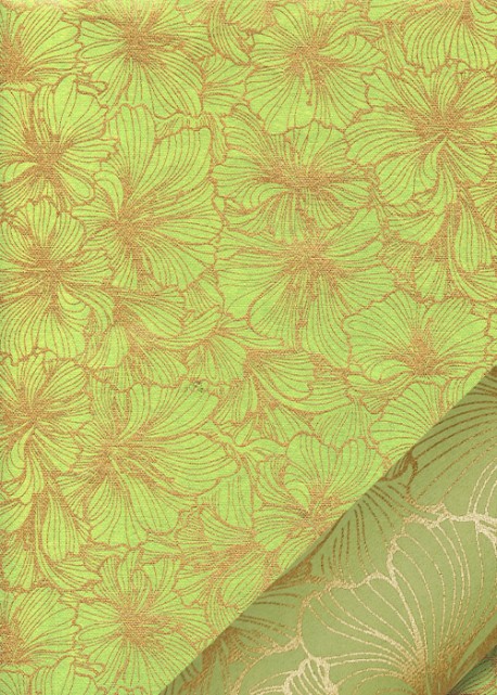 "Hibiscus" or fond vert amande
