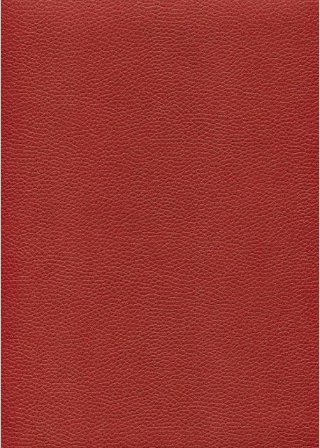 Simili cuir "Buffle grainé" (22x58) rouge