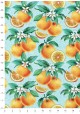 les oranges fleuries fond vert