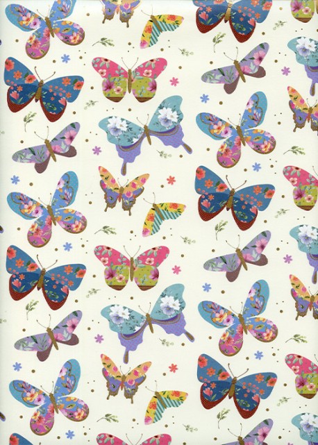 Les papillons colorés