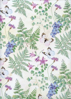 Papillons et fougères