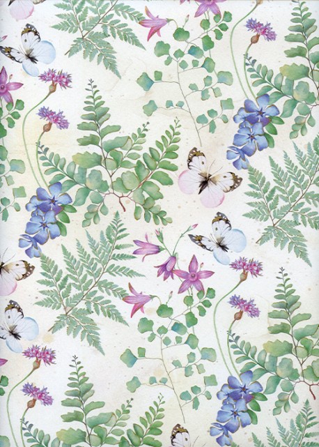 Papillons et fougères