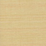 Canvas (-30%)