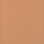 Mi-teintes canson (-40%) 